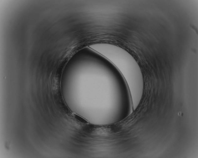 X0000091960708200709061100