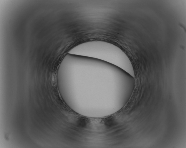 X0000091960709200709061100