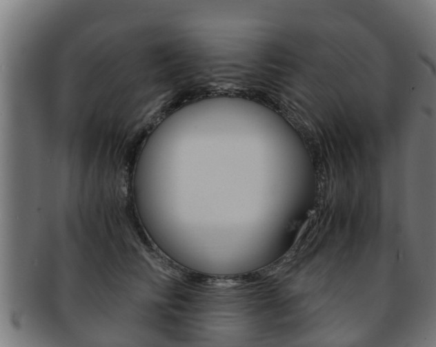X0000091960710200709061100