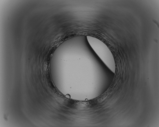 X0000091960711200709061100