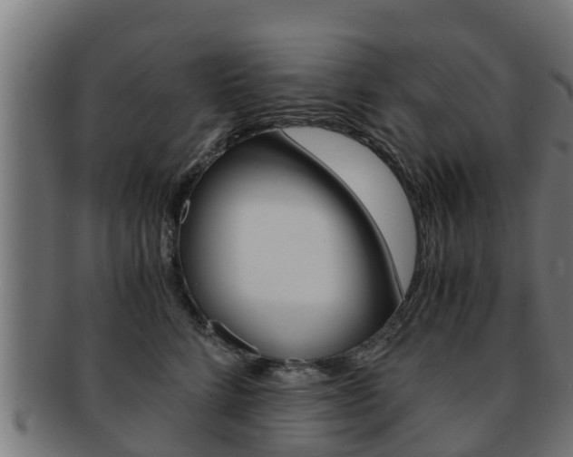 X0000091960712200709061100