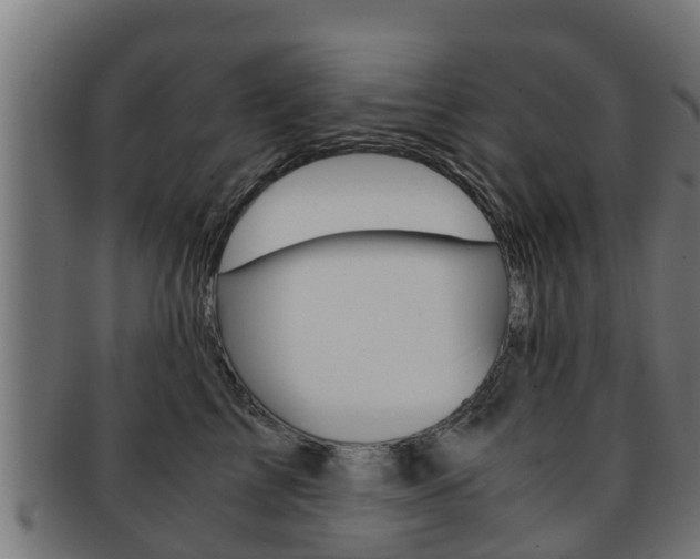 X0000091960713200709061100