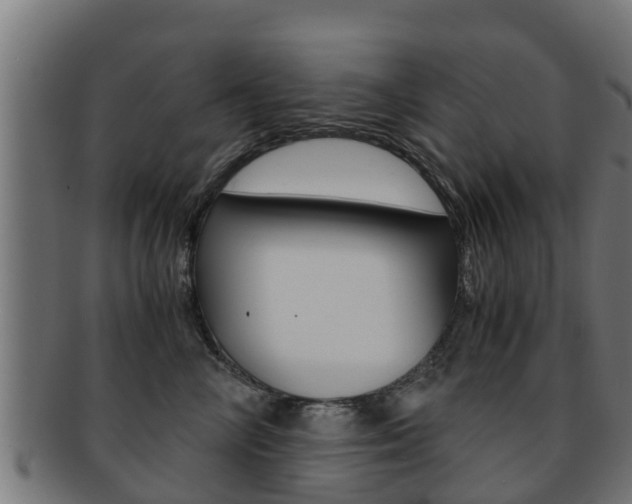X0000091960714200709061100