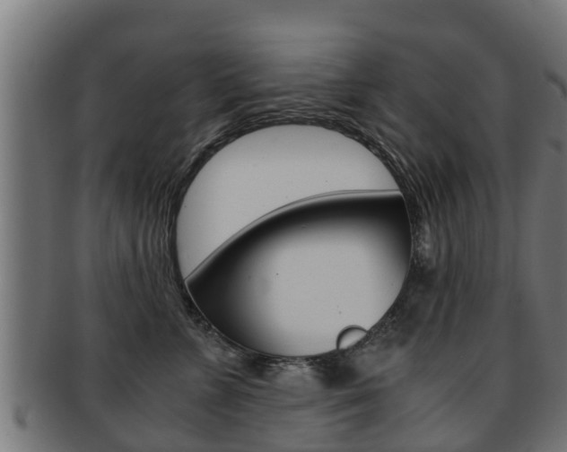 X0000091960715200709061100