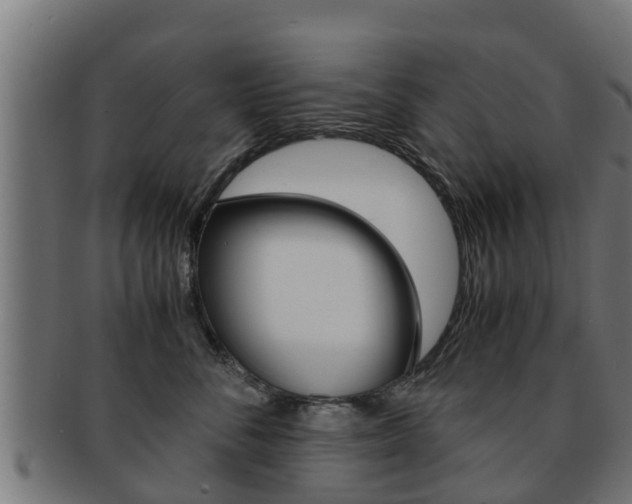 X0000091960716200709061100