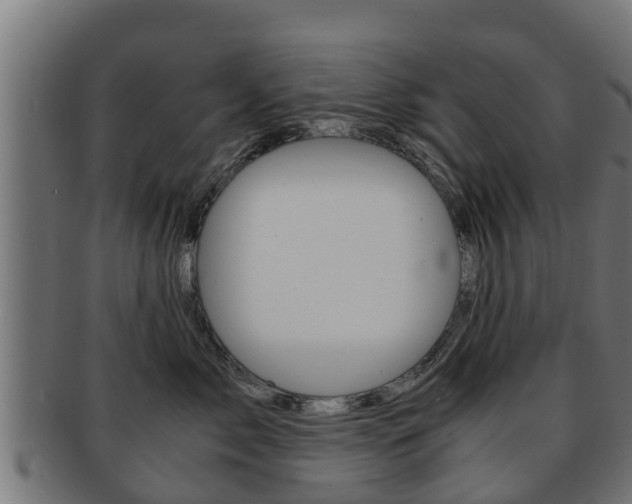 X0000091960717200709061100