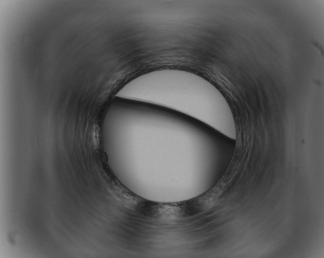 X0000091960718200709061100