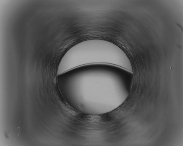 X0000091960719200709061100