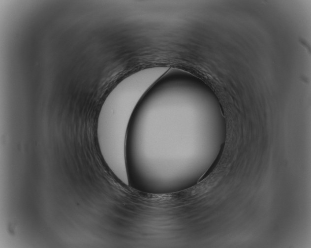 X0000091960720200709061100