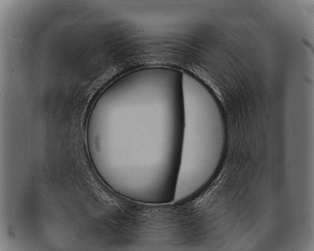 X0000091960721200709061059