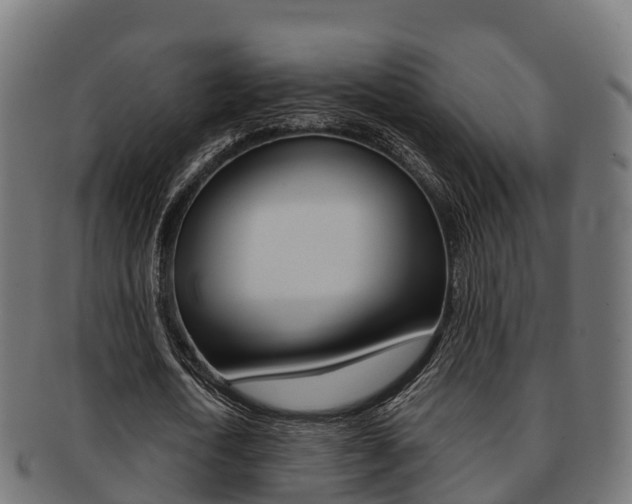 X0000091960722200709061059