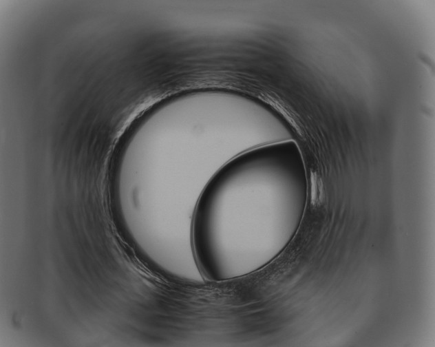 X0000091960723200709061059