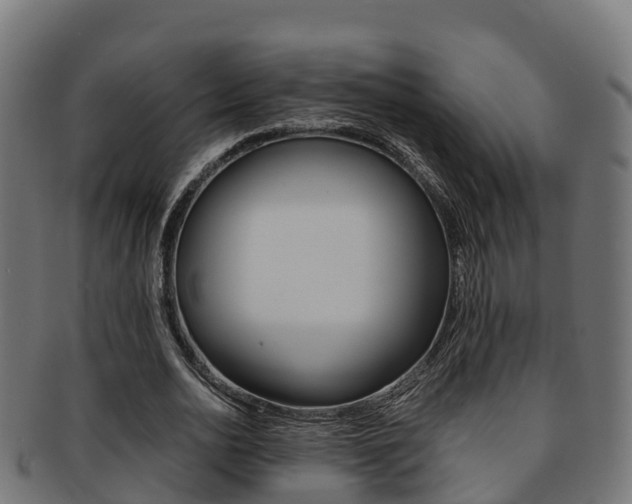X0000091960726200709061059