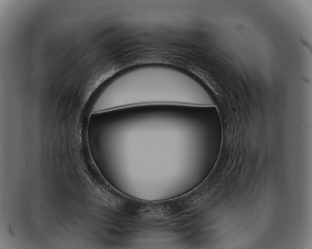 X0000091960727200709061059