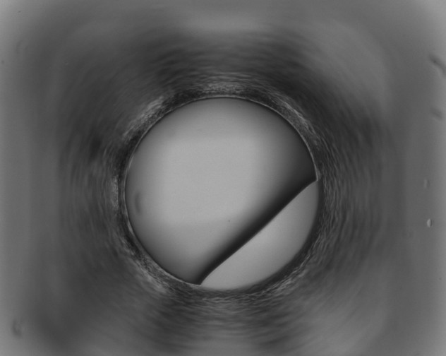 X0000091960729200709061059