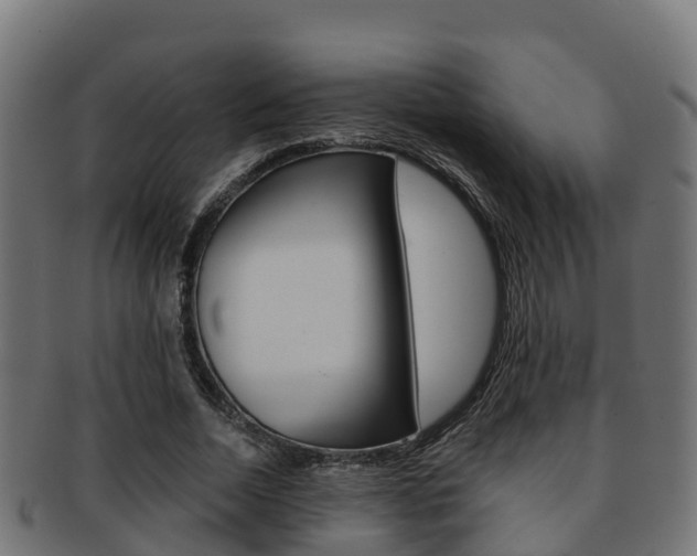 X0000091960730200709061059