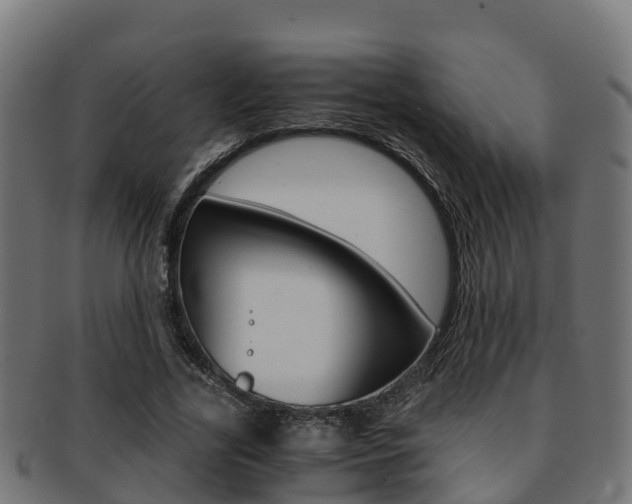 X0000091960731200709061059