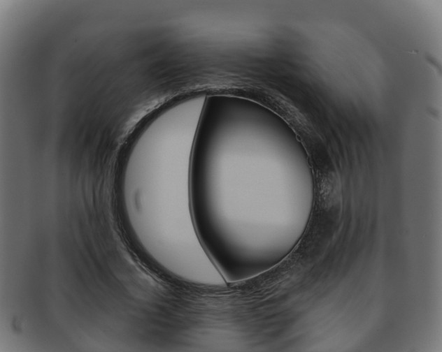X0000091960732200709061059