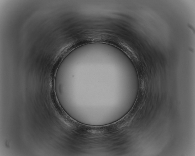 X0000091960733200709061059