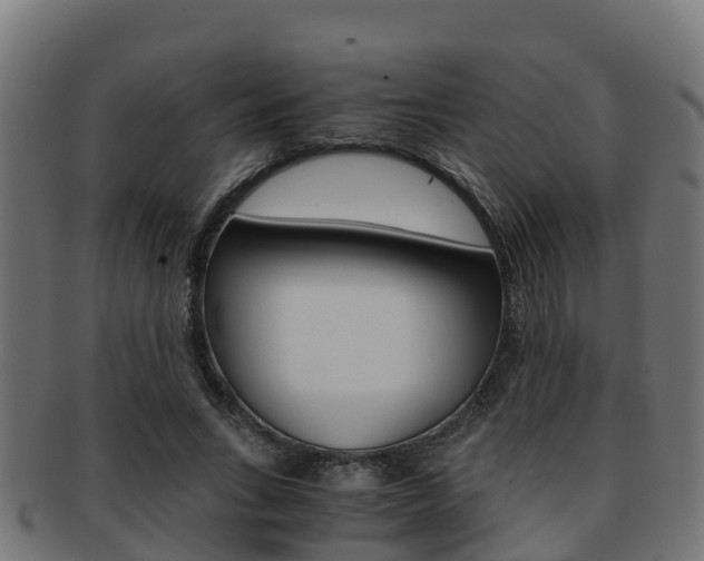 X0000091960735200709061059