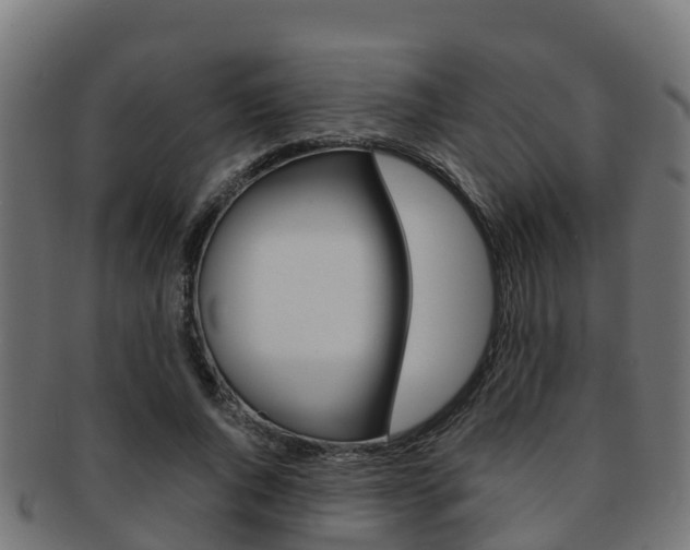 X0000091960736200709061059