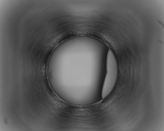 X0000091960737200709061059