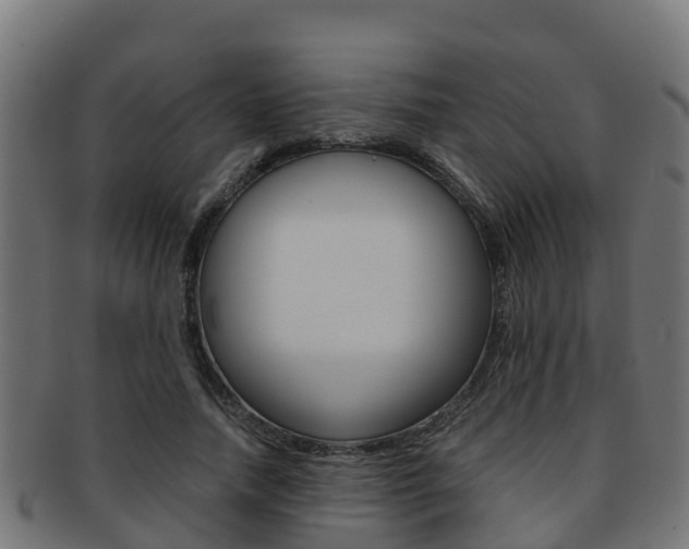 X0000091960738200709061100