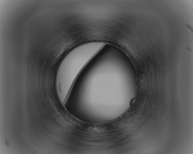X0000091960739200709061100
