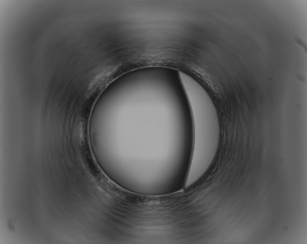 X0000091960740200709061100