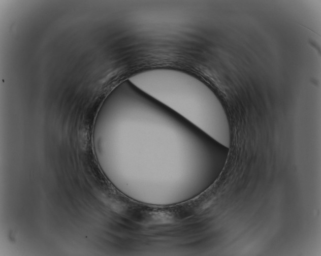 X0000091960741200709061100