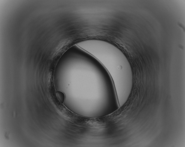 X0000091960742200709061100
