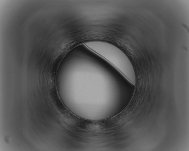 X0000091960743200709061100