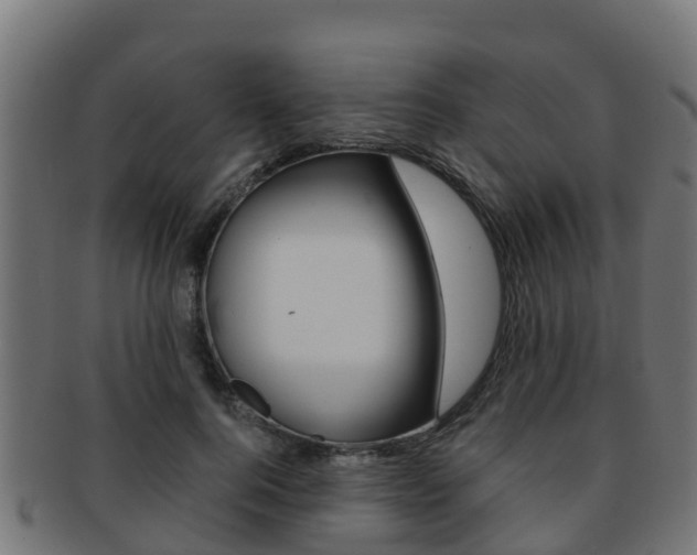 X0000091960744200709061100