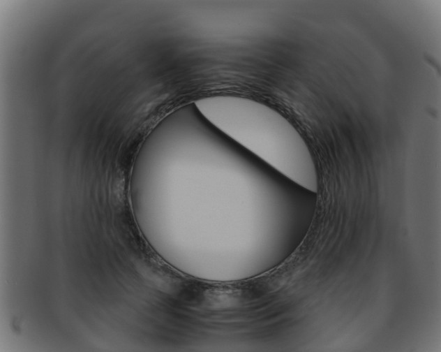 X0000091960745200709061100