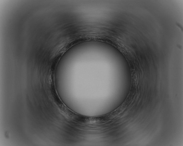 X0000091960746200709061100