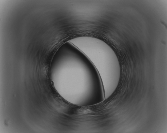 X0000091960747200709061100