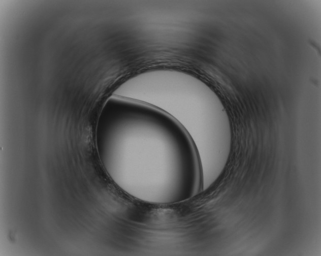 X0000091960748200709061100