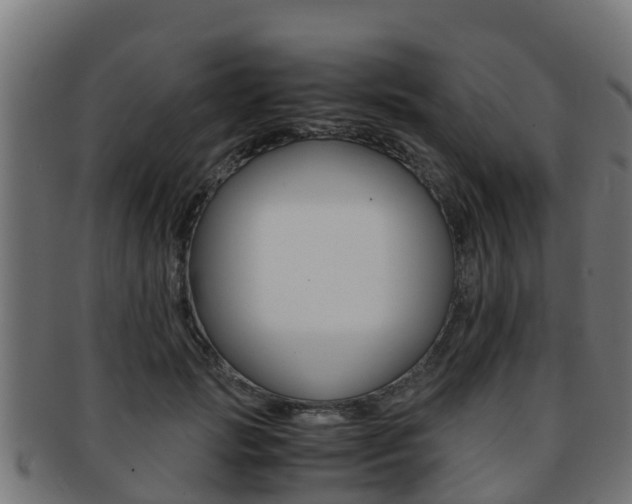 X0000091960749200709061100