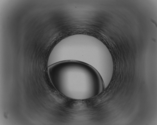 X0000091960750200709061100