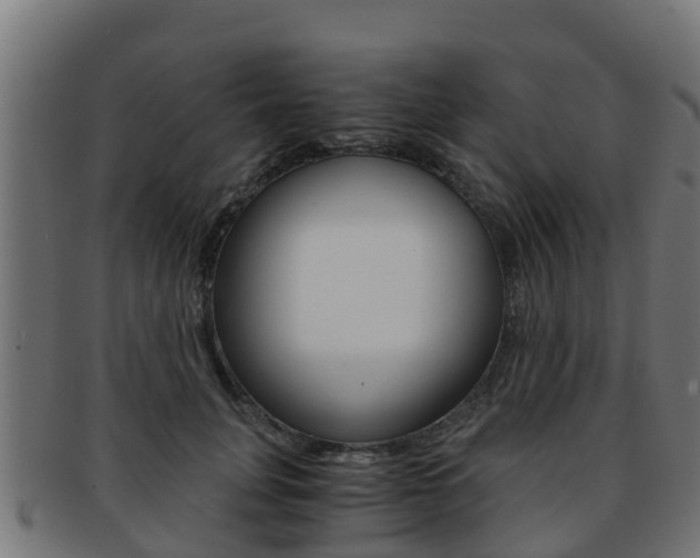 X0000091960751200709061100