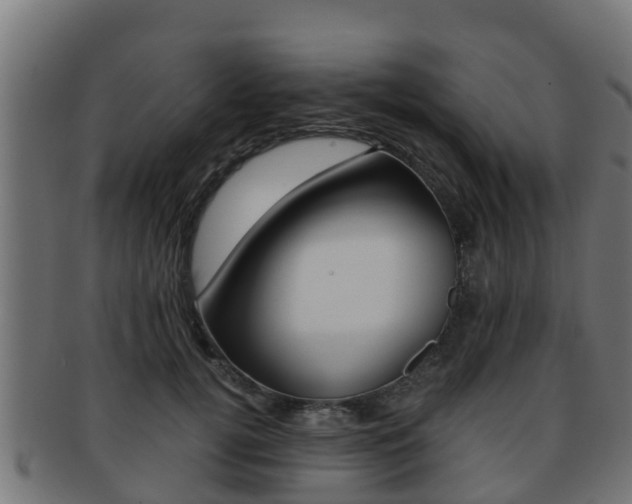 X0000091960752200709061100