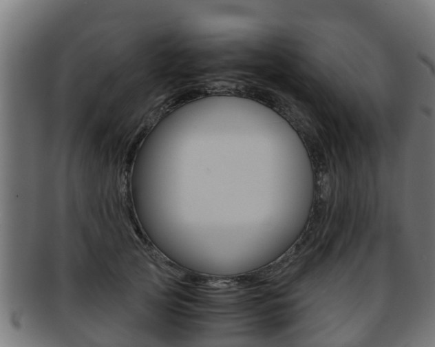 X0000091960753200709061100