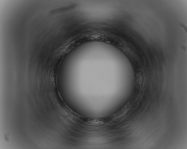 X0000091960754200709061100