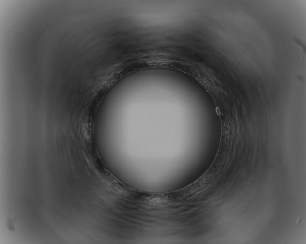 X0000091960755200709061100