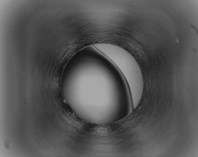 X0000091960756200709061100