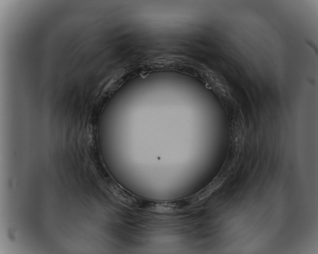 X0000091960758200709061100
