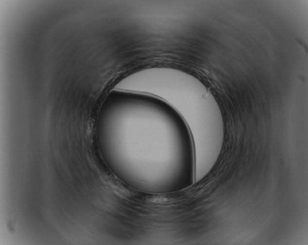 X0000091960759200709061100