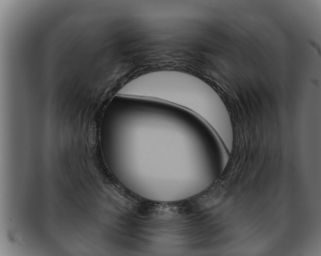 X0000091960760200709061100