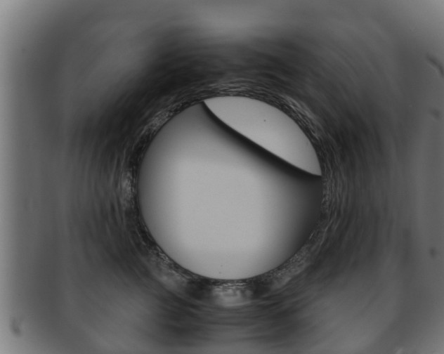 X0000091960761200709061100