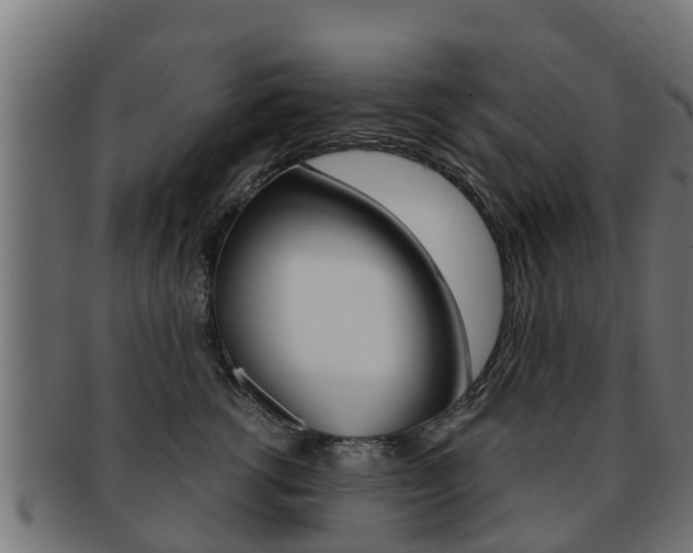 X0000091960762200709061100